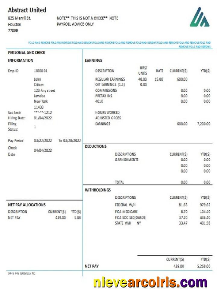USA New York Abstract United pay stub